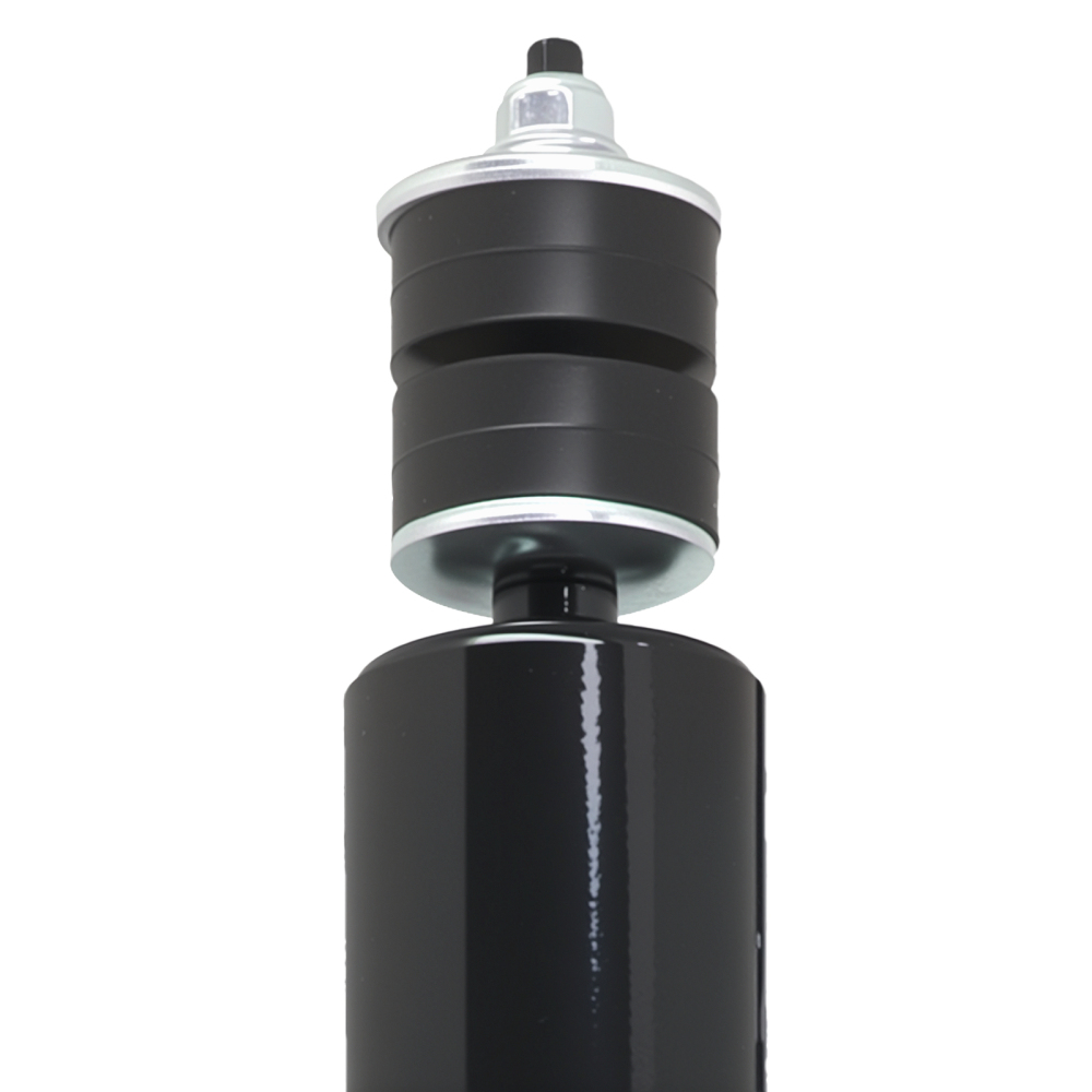 Suspension Rear Struts Absorbers compatible for Ford F-150 1997-2003 F-150 Heritage 2004