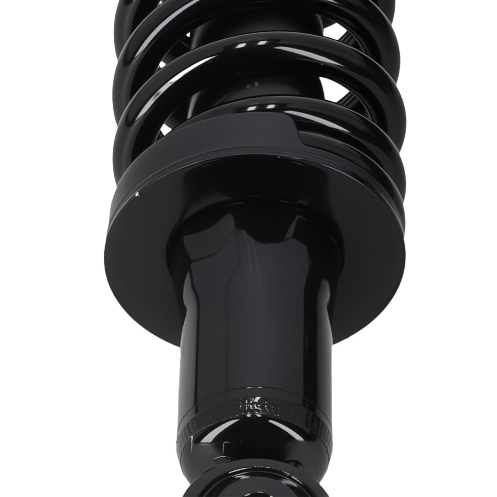 Front Left + Right Strut Spring compatible for Chevy Colorado GMC Canyon RWD 2004-2012