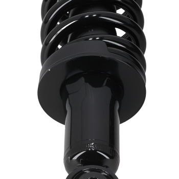 Front Left + Right Strut Spring compatible for Chevy Colorado GMC Canyon RWD 2004-2012