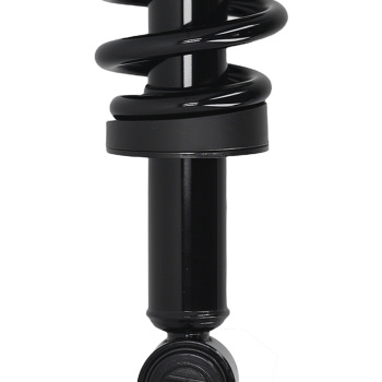 Front Strut Spring Suspension compatible for Ford F-150 RWD 2015-2020 273031L 273031R