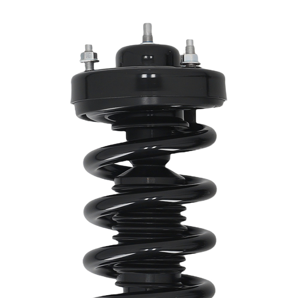 Pair Front Strut Spring compatible for Ford F-150 4WD 2015-2020 173032L 173032R 5.0L