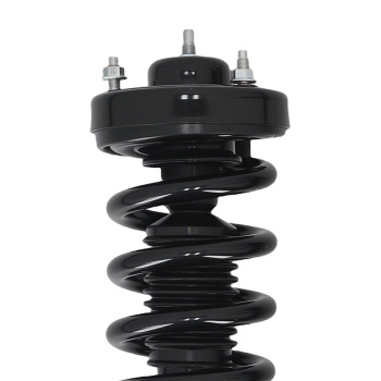 Pair Front Strut Spring compatible for Ford F-150 4WD 2015-2020 173032L 173032R 5.0L