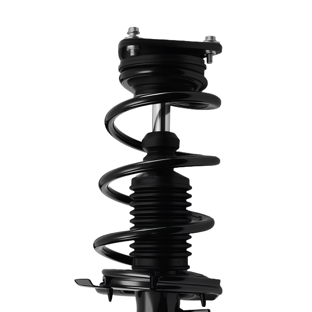 2X Front Complete StrutsCoil Spring Assembly For Ford Focus 2013-2018