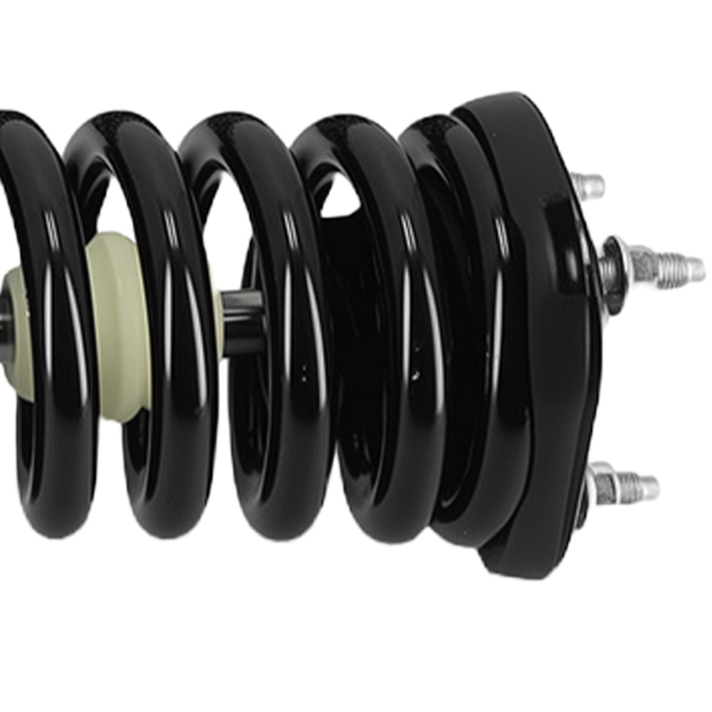 Quick Complete Struts Shock Coil Spring compatible for Mitsubishi Raider 2006-2009 2WD