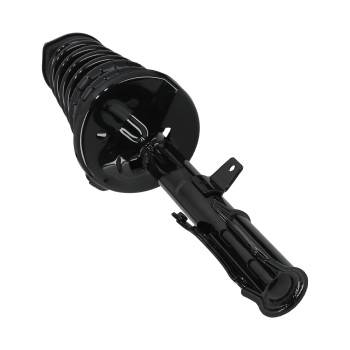 Rear Complete Struts w/ Coil Springs Pair compatible for Toyota Camry Avalon compatible for Lexus ES300 V6