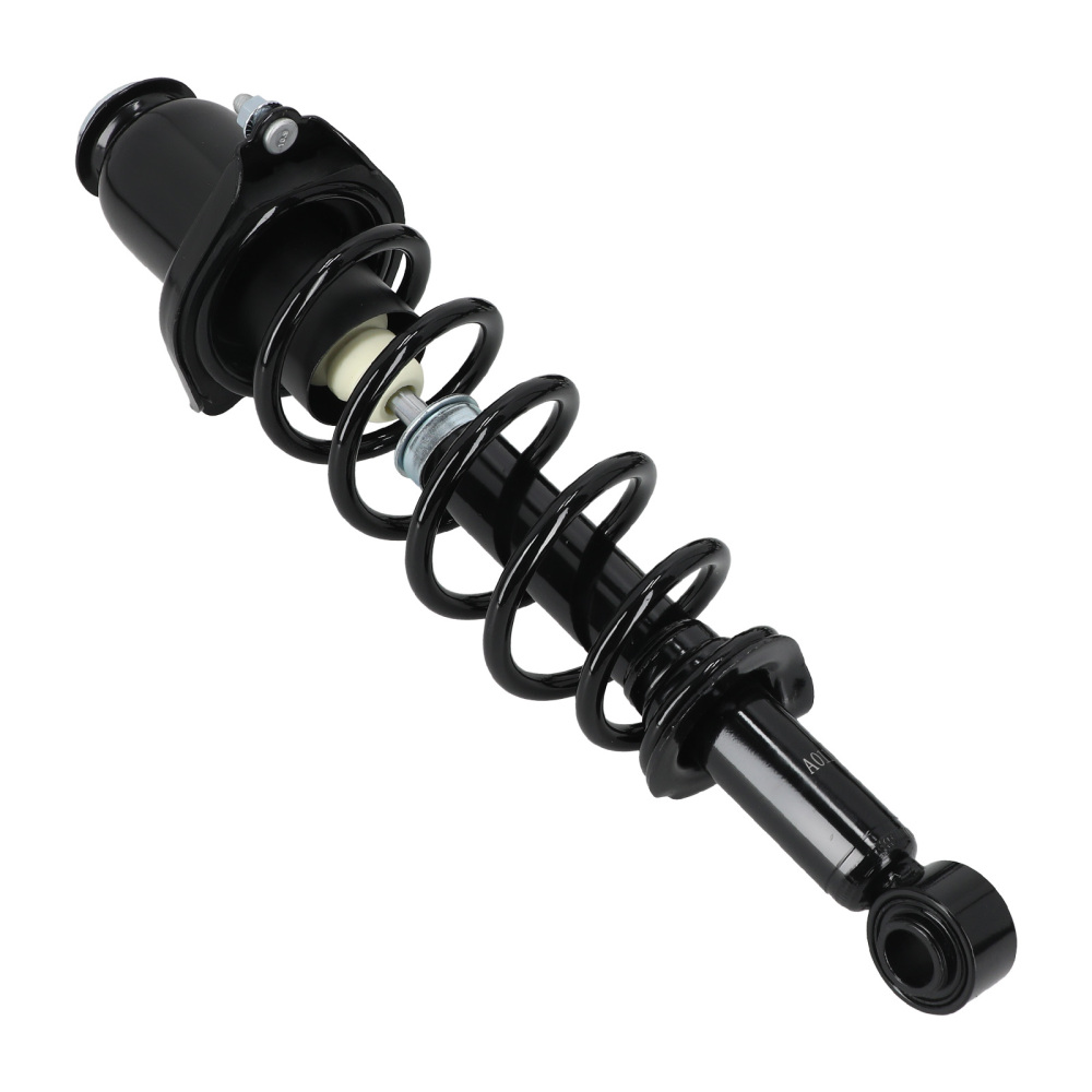 2x Rear Complete Struts Assembly compatible for Toyota Prius 2004 2005 2006 2007 2008 2009