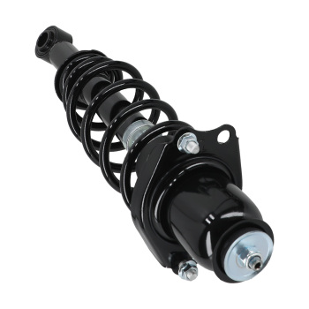 2x Rear Complete Struts Assembly compatible for Toyota Prius 2004 2005 2006 2007 2008 2009