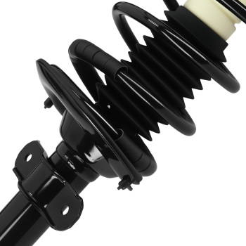 2pcs Rear Struts w/ Coil Spring compatible for Pontiac Grand Prix compatible for Buick Century 1997-2003