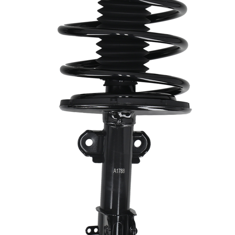 Complete Shock Absorber Struts compatible for Chrysler Voyager 2001-2003 3.3L 171572R