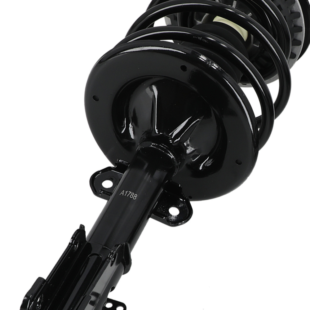 Complete Shock Absorber Struts compatible for Chrysler Voyager 2001-2003 3.3L 171572R