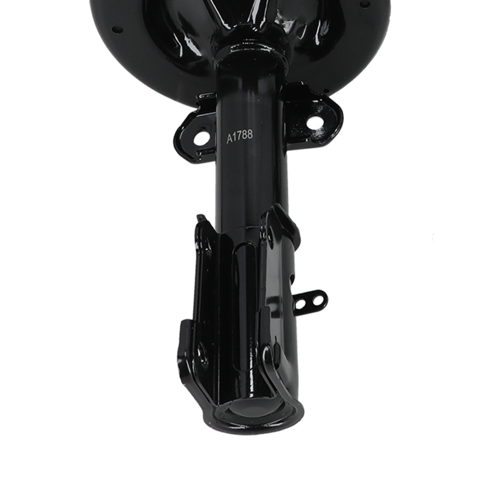 Complete Shock Absorber Struts compatible for Chrysler Voyager 2001-2003 3.3L 171572R