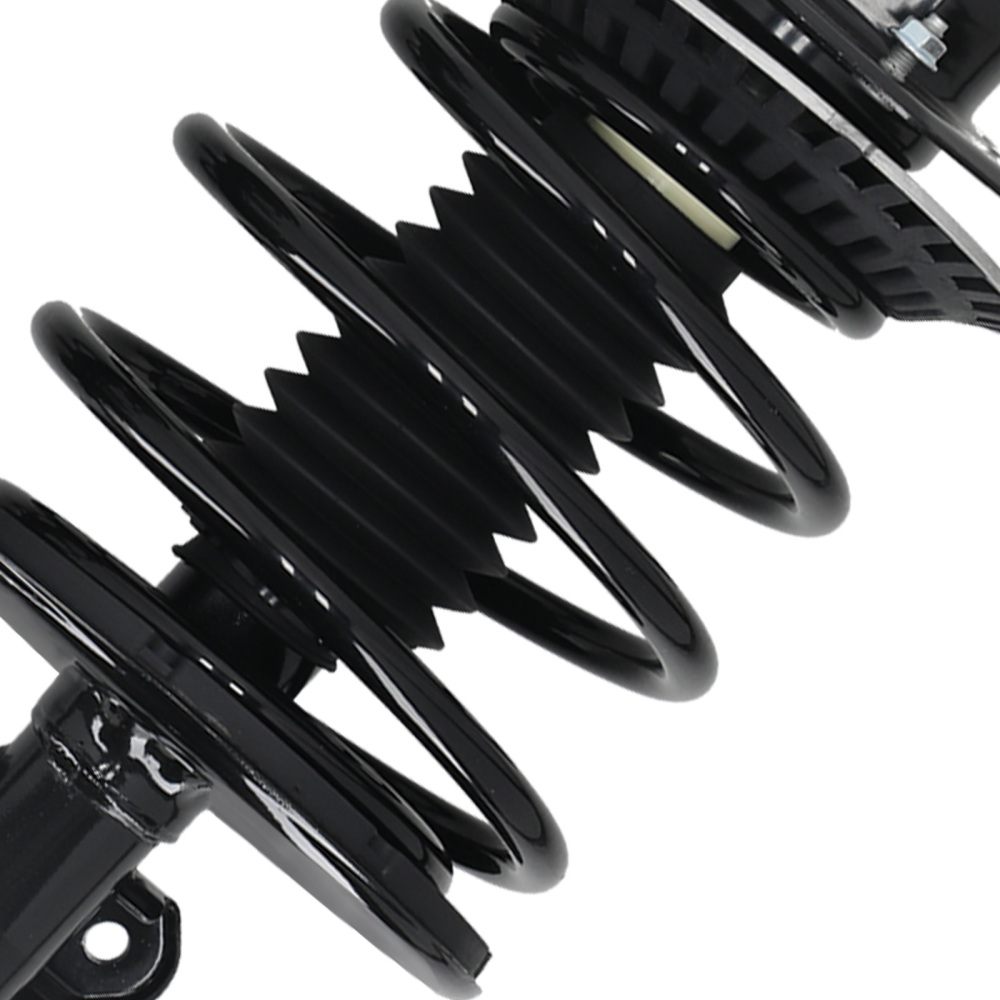 Complete Shock Absorber Struts compatible for Chrysler Voyager 2001-2003 3.3L 171572R