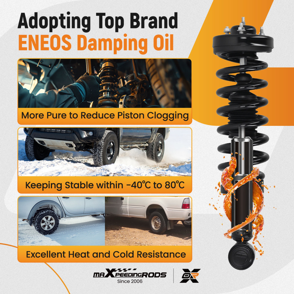 Front Strut Spring Suspension compatible for Ford F-150 RWD 2015-2020 273031L 273031R