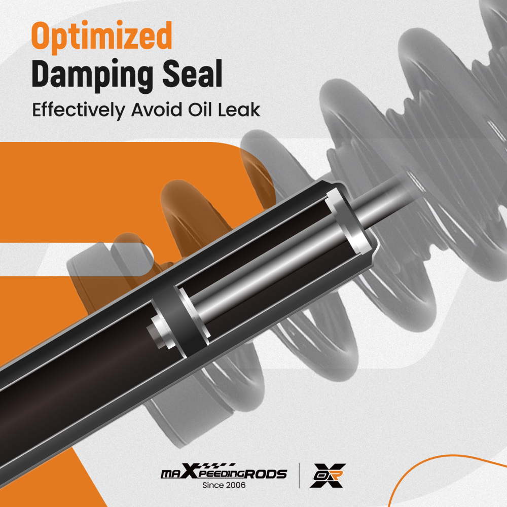 Front Strut Spring Suspension compatible for Ford F-150 RWD 2015-2020 273031L 273031R