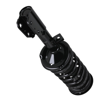 2x Front Complete Coil Spring Strut Shock compatible for Saturn Vue 2002-2007 172217 172218