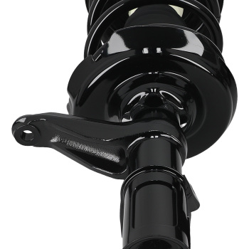 Front + Rear Struts w/ Coil Spring for 2003 2004 2005 2006 - 2011 compatible for Honda Element