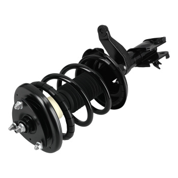 Front + Rear Struts w/ Coil Spring for 2003 2004 2005 2006 - 2011 compatible for Honda Element