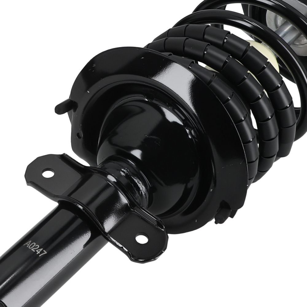 Rear Struts w/Coil Springs Assembly compatible for Chevy Impala compatible for Buick Allure compatible for LaCrosse 05-09