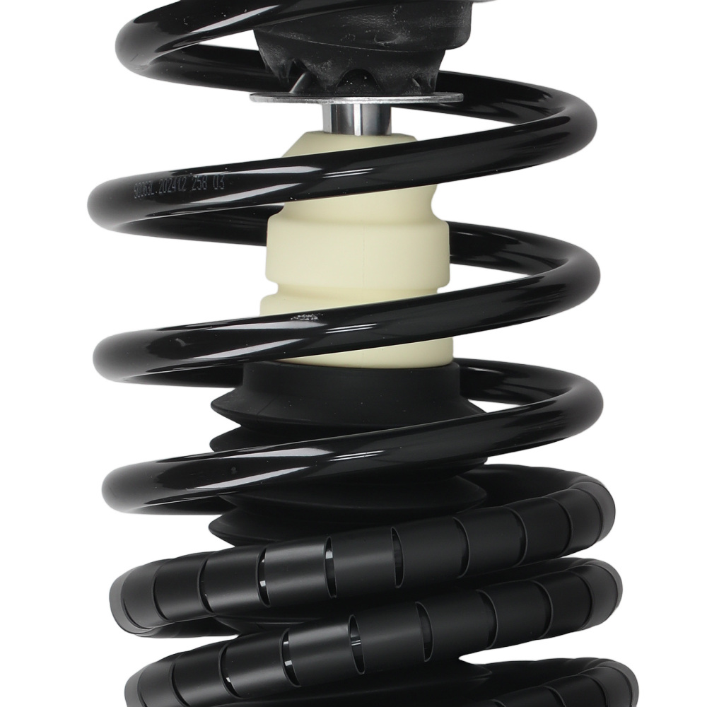 Rear Struts w/Coil Springs Assembly compatible for Chevy Impala compatible for Buick Allure compatible for LaCrosse 05-09