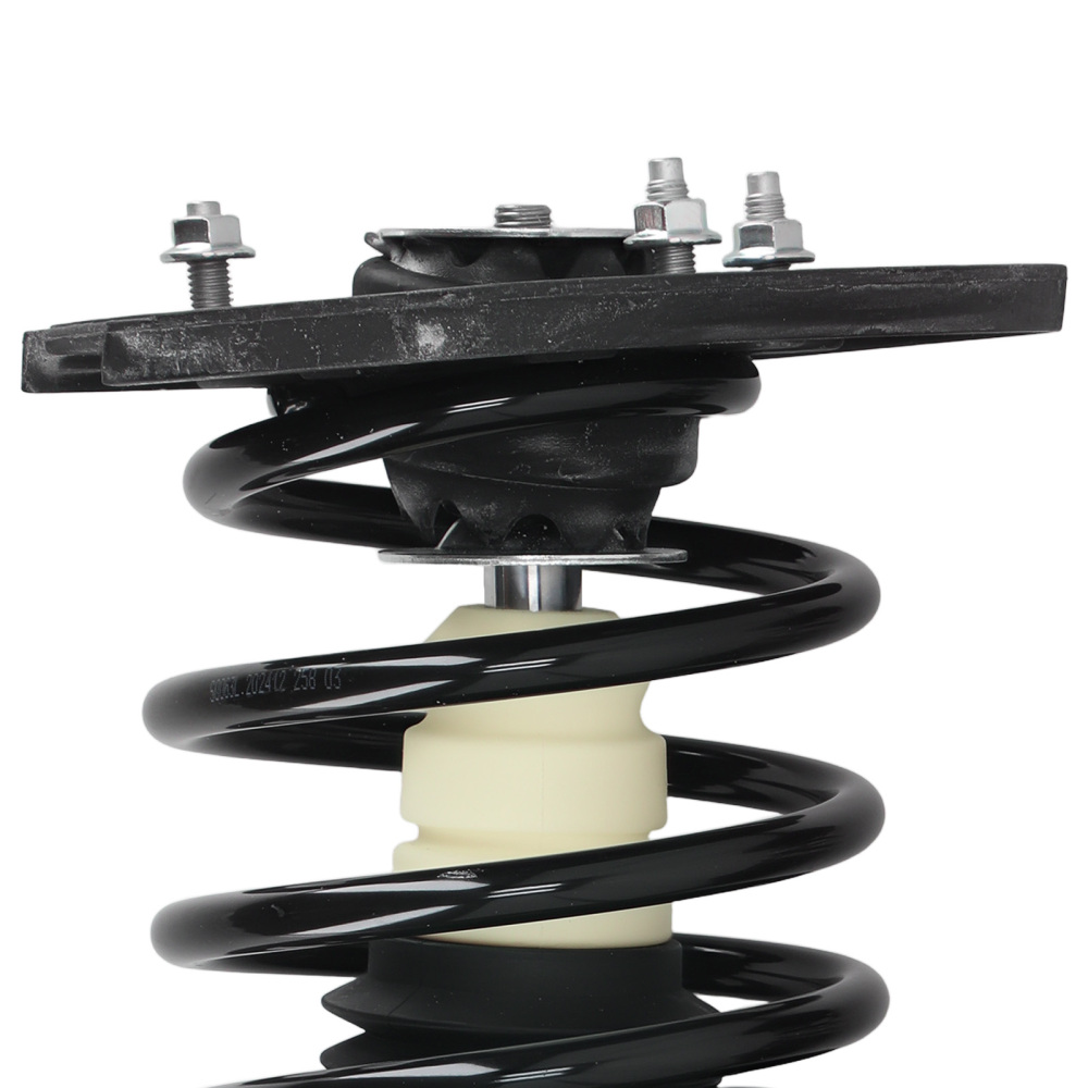 Rear Struts w/Coil Springs Assembly compatible for Chevy Impala compatible for Buick Allure compatible for LaCrosse 05-09