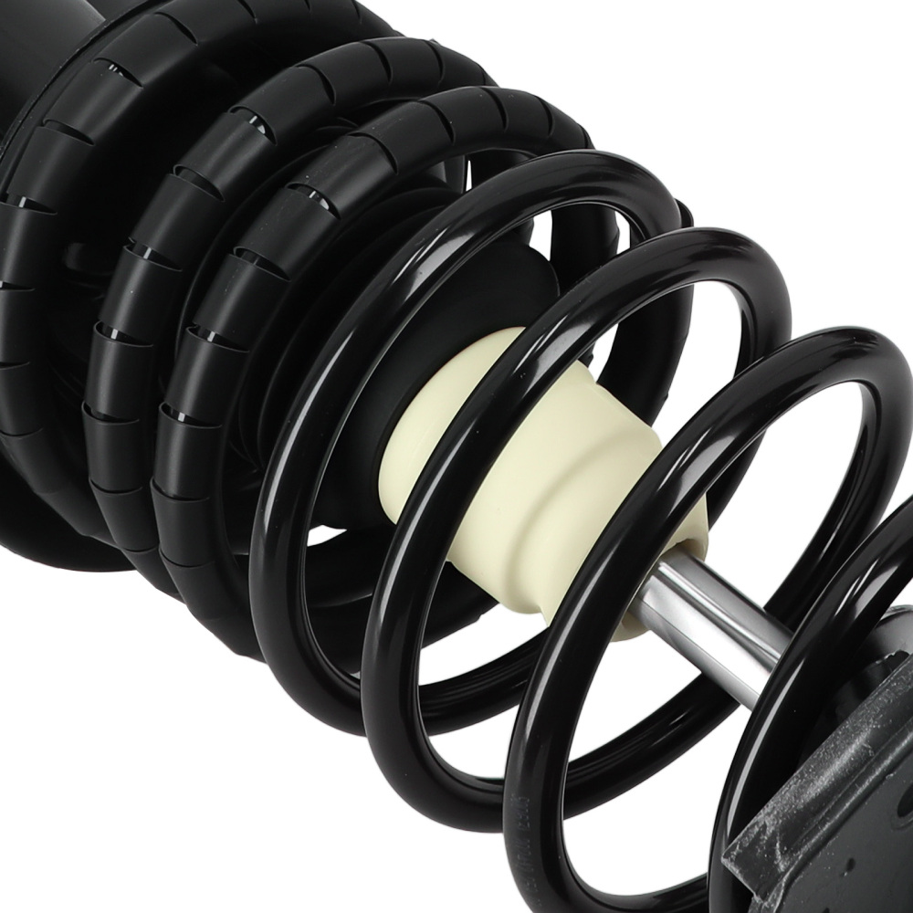 Rear Struts w/Coil Springs Assembly compatible for Chevy Impala compatible for Buick Allure compatible for LaCrosse 05-09