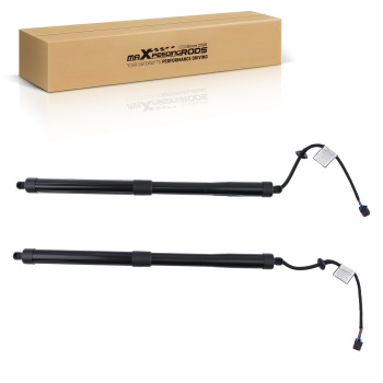 Pair Rear Trunk Tailgate Lift Supports Struts Shocks compatible for Kia Sedona 3.3L 2015-21
