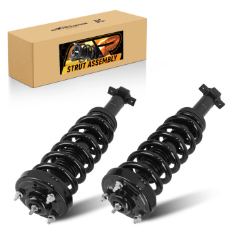Pair Front Strut Spring compatible for Ford F-150 4WD 2015-2020 173032L 173032R 5.0L
