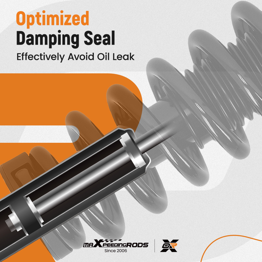 Pair Front Strut Spring compatible for Ford F-150 4WD 2015-2020 173032L 173032R 5.0L