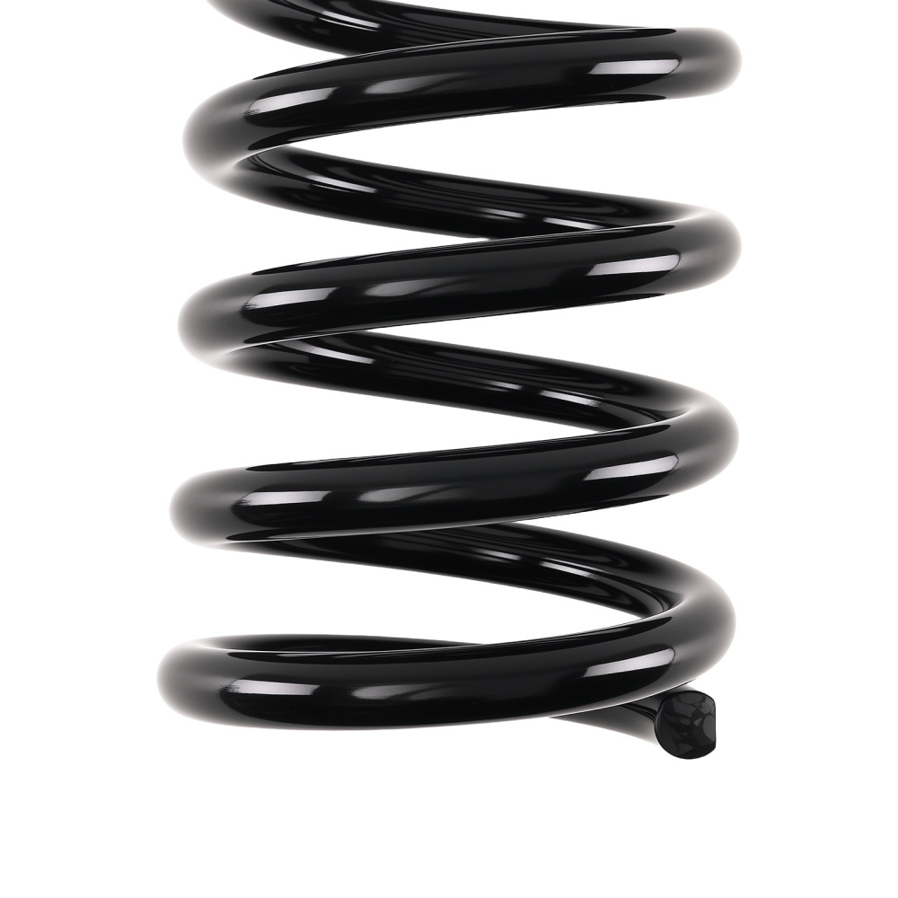 2PC Rear Coil Springs Set compatible for Honda Odyssey 2005-2010 V6 3.5L compatible for Mini Passenger Van