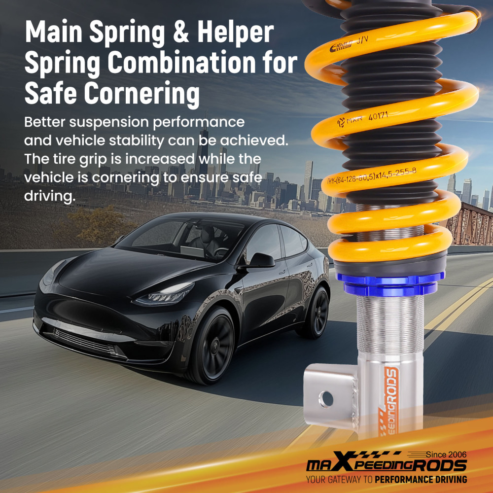 24 Way Damper Coilovers Strut Kit w/ EIBACH Springs compatible for Tesla model 3 2017+ AWD