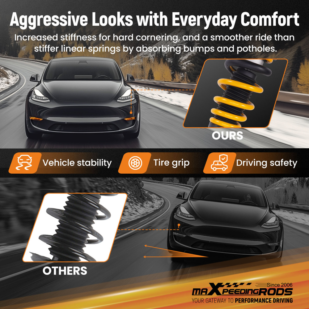 24 Way Damper Coilovers Strut Kit w/ EIBACH Springs compatible for Tesla model 3 2017+ AWD