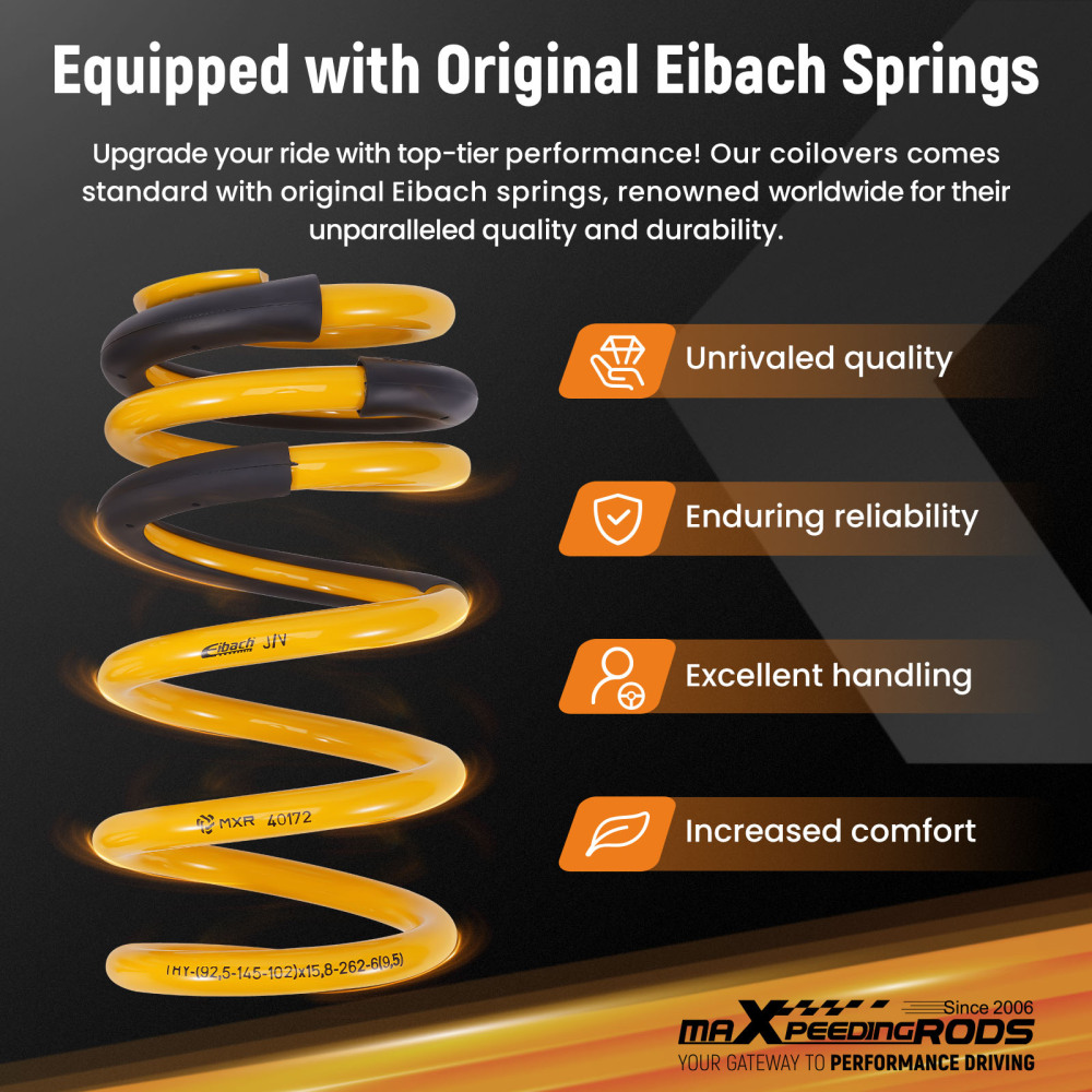 24 Step Damper Coilovers Strut Kit w/ EIBACH Springs compatible for Tesla model 3 2017+ RWD