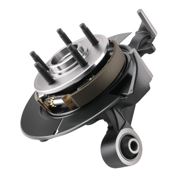 Cast Iron Steering Knuckle Assembly compatible for Ford Explorer/Mountaineer 06-10 698-412