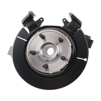 Cast Iron Steering Knuckle Assembly compatible for Ford Explorer/Mountaineer 06-10 698-412