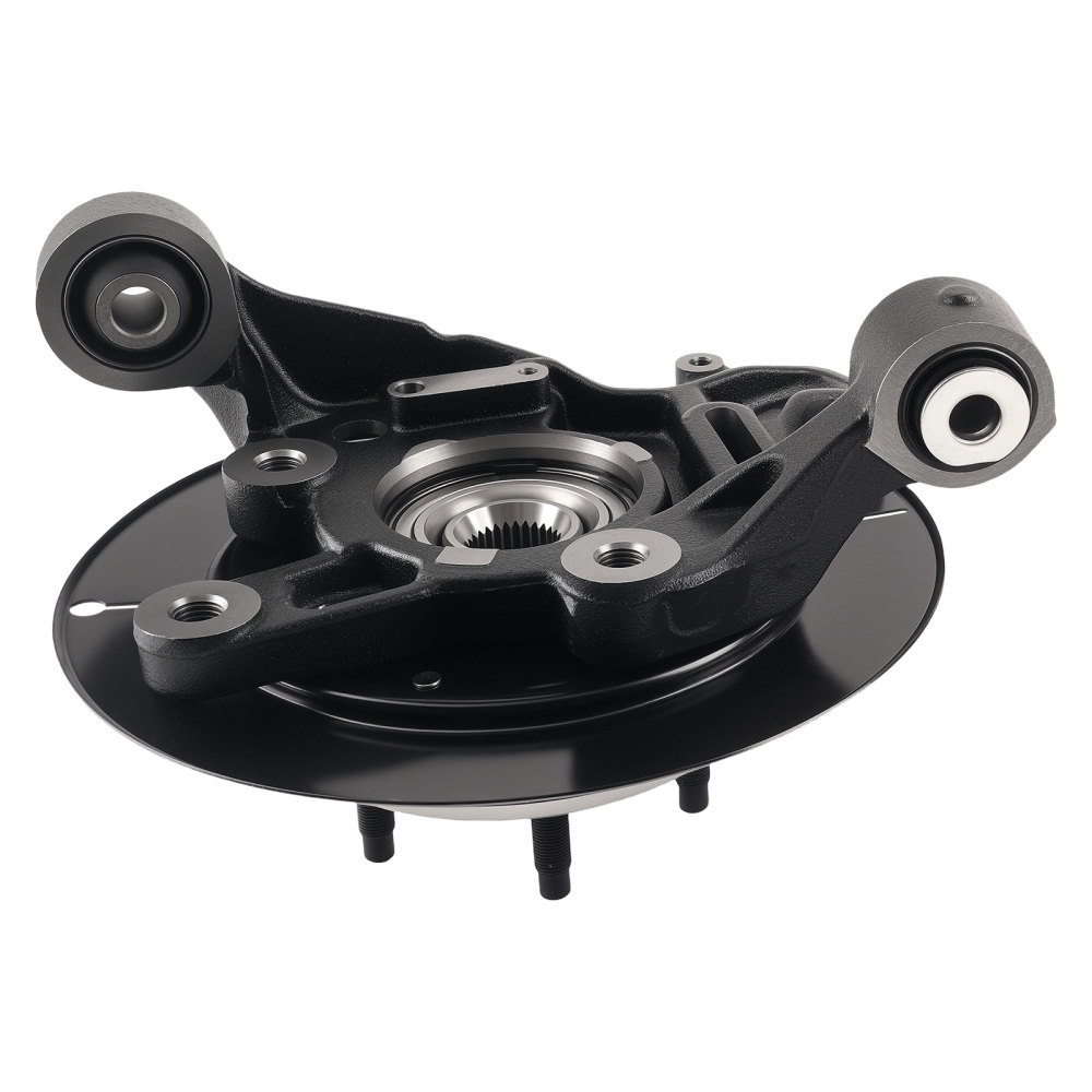 Cast Iron Steering Knuckle Assembly compatible for Ford Explorer/Mountaineer 06-10 698-412