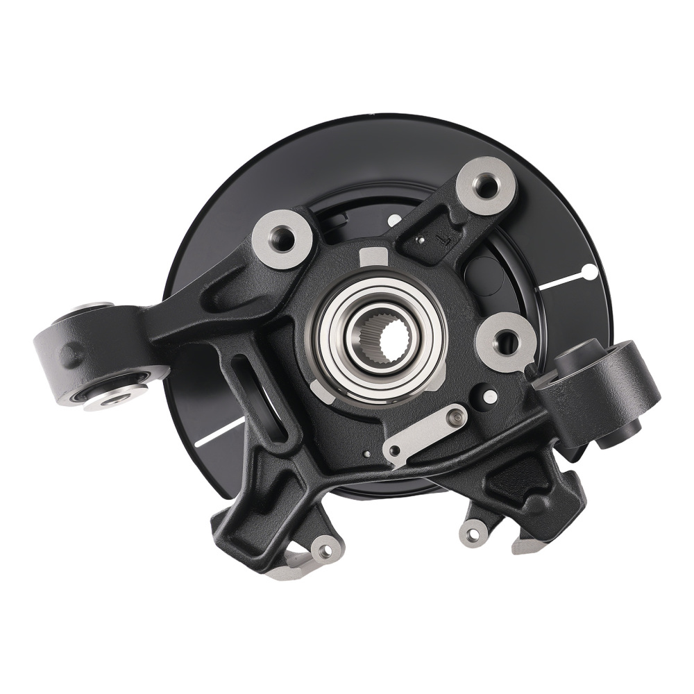 Cast Iron Steering Knuckle Assembly compatible for Ford Explorer/Mountaineer 06-10 698-412