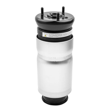 Luftfederbein amortisseur arrière Avant compatible pour Land Rover Dicovery III IV RPD50109