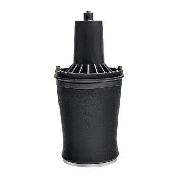 2X ANTERIORE SOSPENSIONI PNEUMATICHE MOLLE BORSA compatibile per RANGE ROVER P38