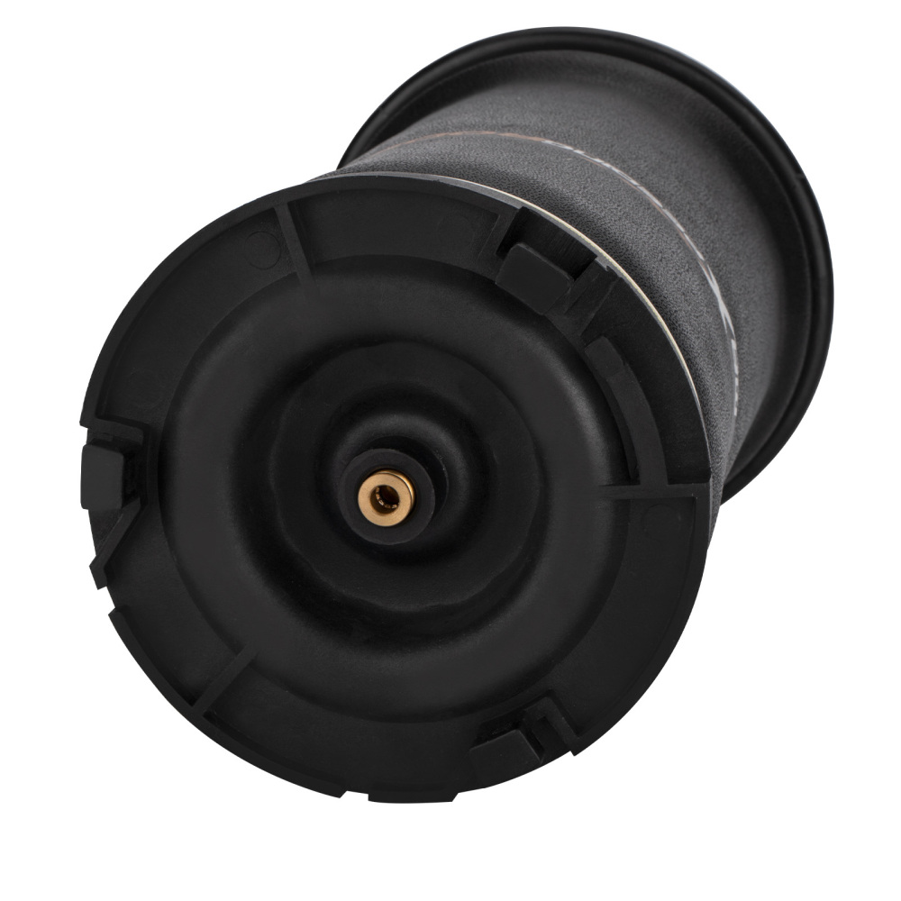 Borsa Sinistra Destra Posteriore Aria molla Sospensione compatibile per Hummer H2 15938306