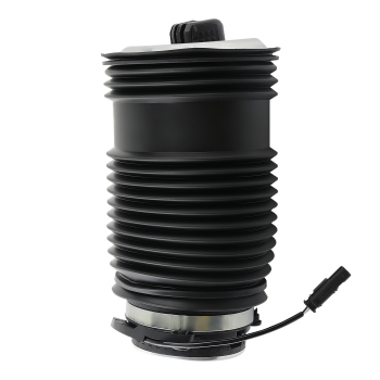 Sospensioni Pneumatiche Posteriore destro compatibile per Mercedes CLS C257 A2133200225