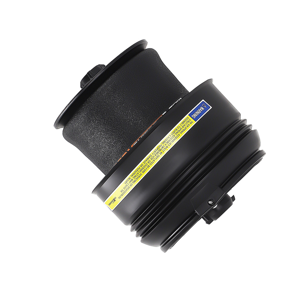 Borsa sospensione pneumatica posteriore compatibile per BMW X5 X6 F15 F16 37126795013