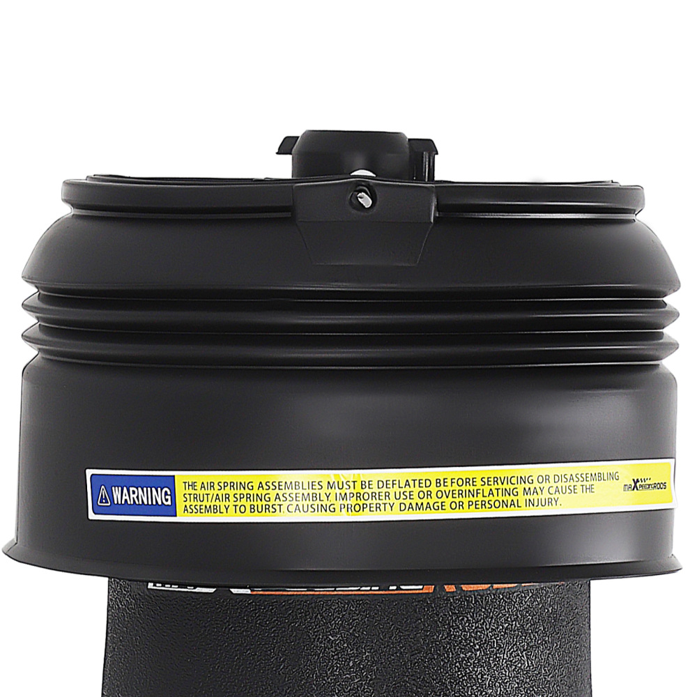 Borsa sospensione pneumatica posteriore compatibile per BMW X5 X6 F15 F16 37126795013