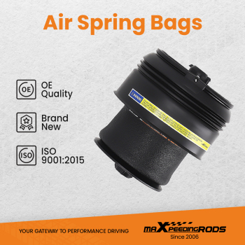 Borsa sospensione pneumatica posteriore compatibile per BMW X5 X6 F15 F16 37126795013