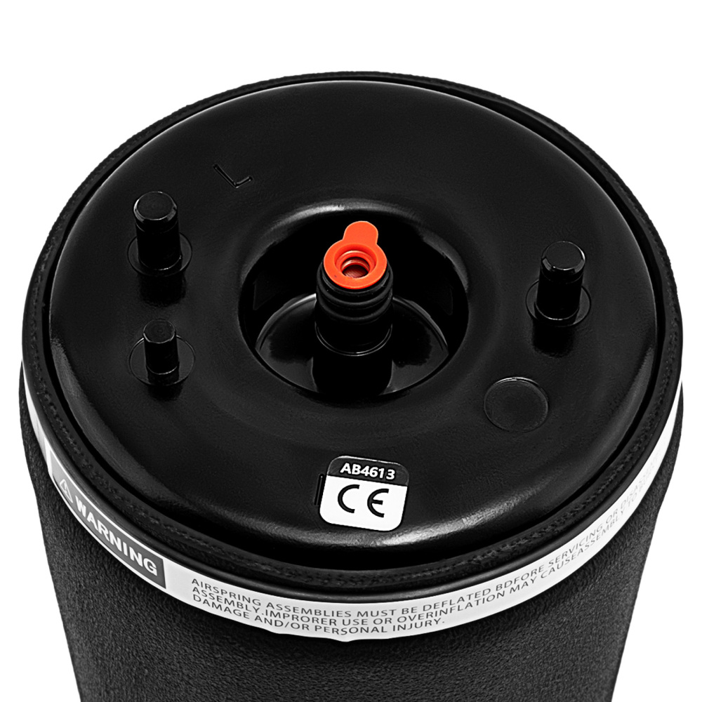 Pneumatica Aria Molla Posteriore Sinistro compatibile per BMW 5 Serie e39 96-03 37121094613