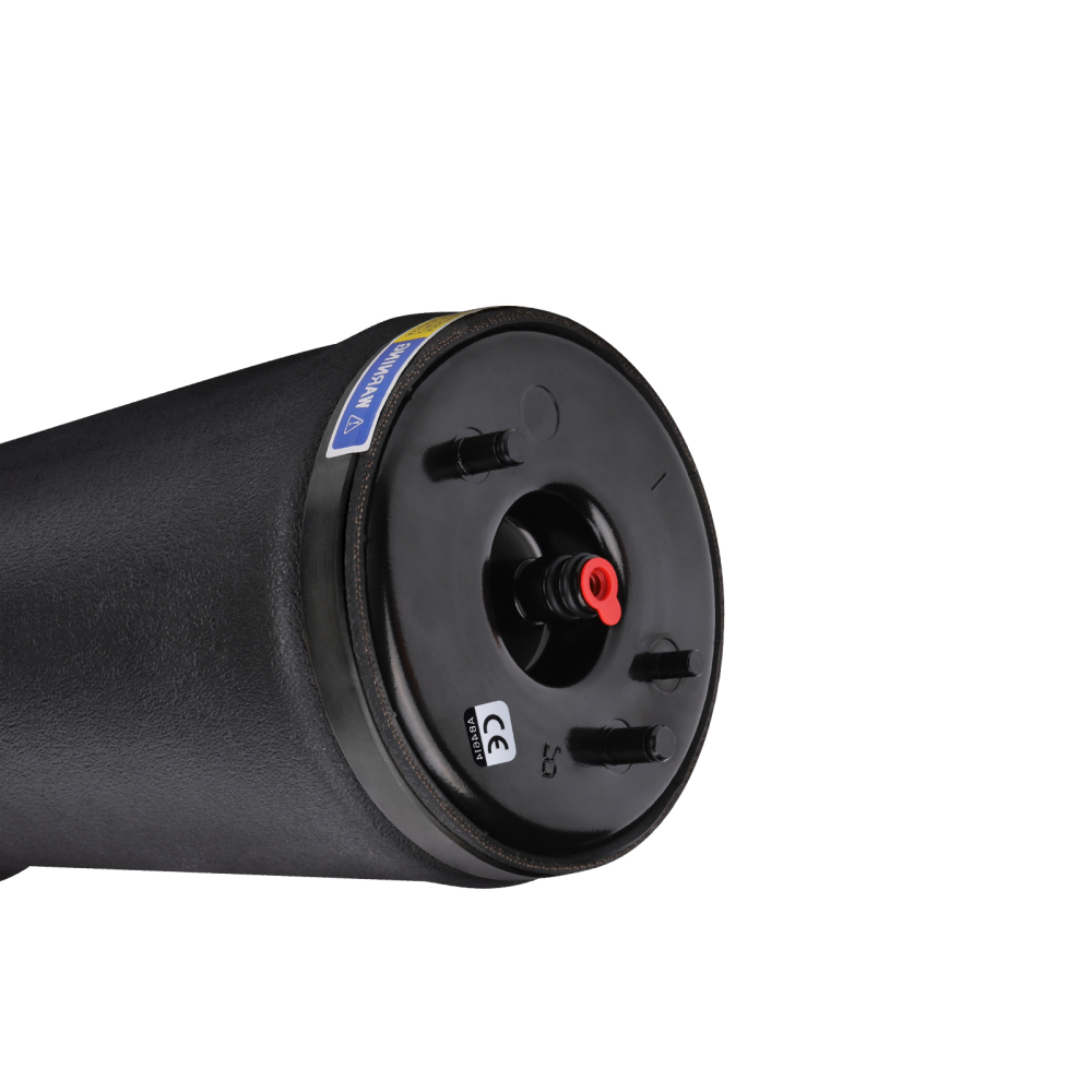 37121094614 Nuovo Aria Sospensione Pneumatica Posteriore Destro compatibile per Bmw 5Er E39