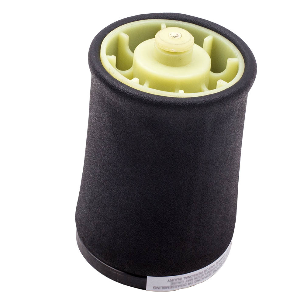 Arrière Gauche Suspension pneumatique compatible pour BMW E53 X5 1.6 1.8 3.0 37121095579