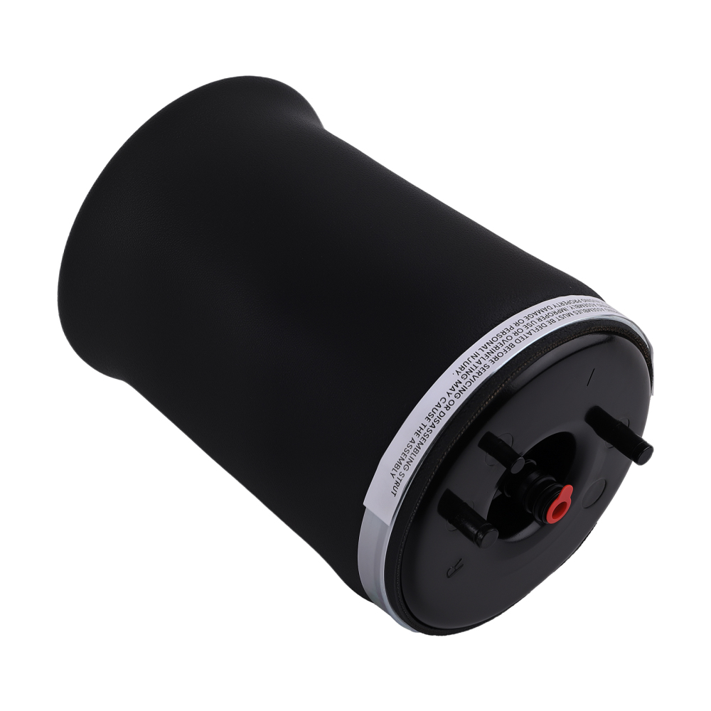 Arrière Droite suspension pneumatique Air Ressort compatible pour BMW E53 X5 37126750356 new