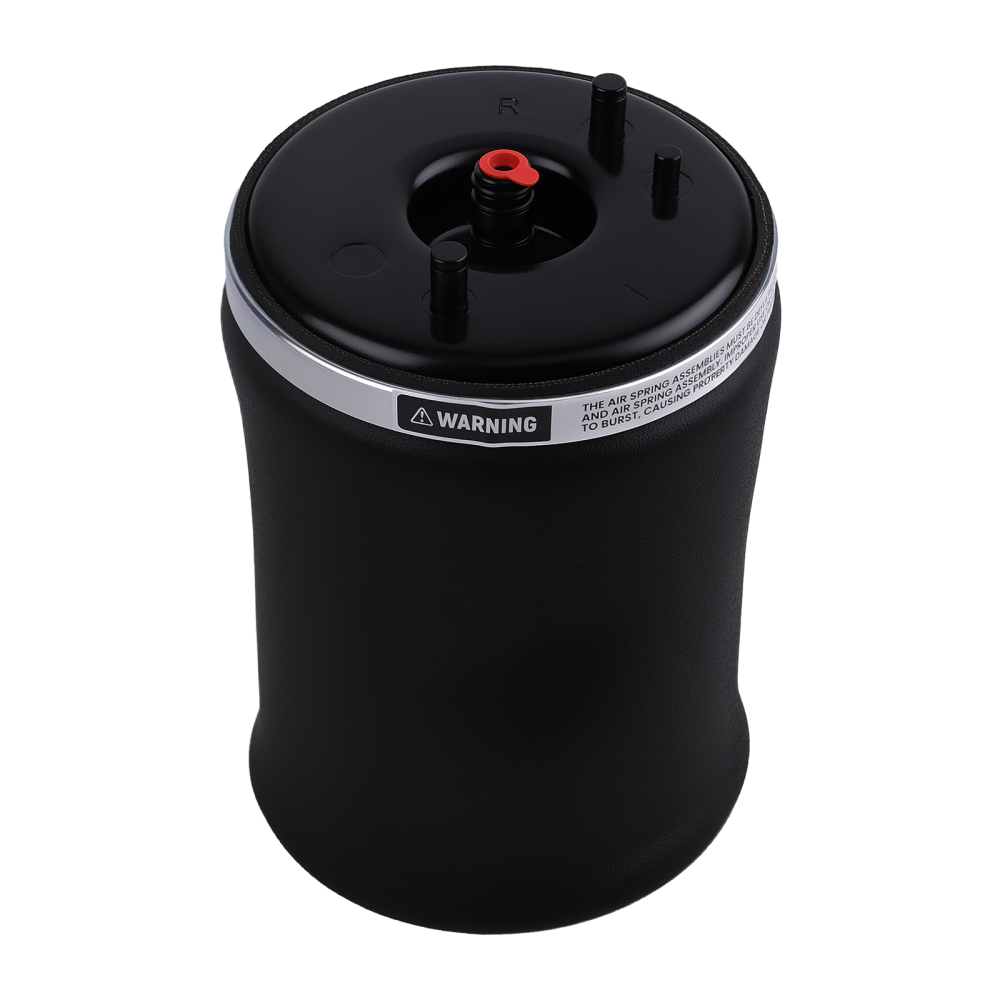 Arrière Droite suspension pneumatique Air Ressort compatible pour BMW E53 X5 37126750356 new