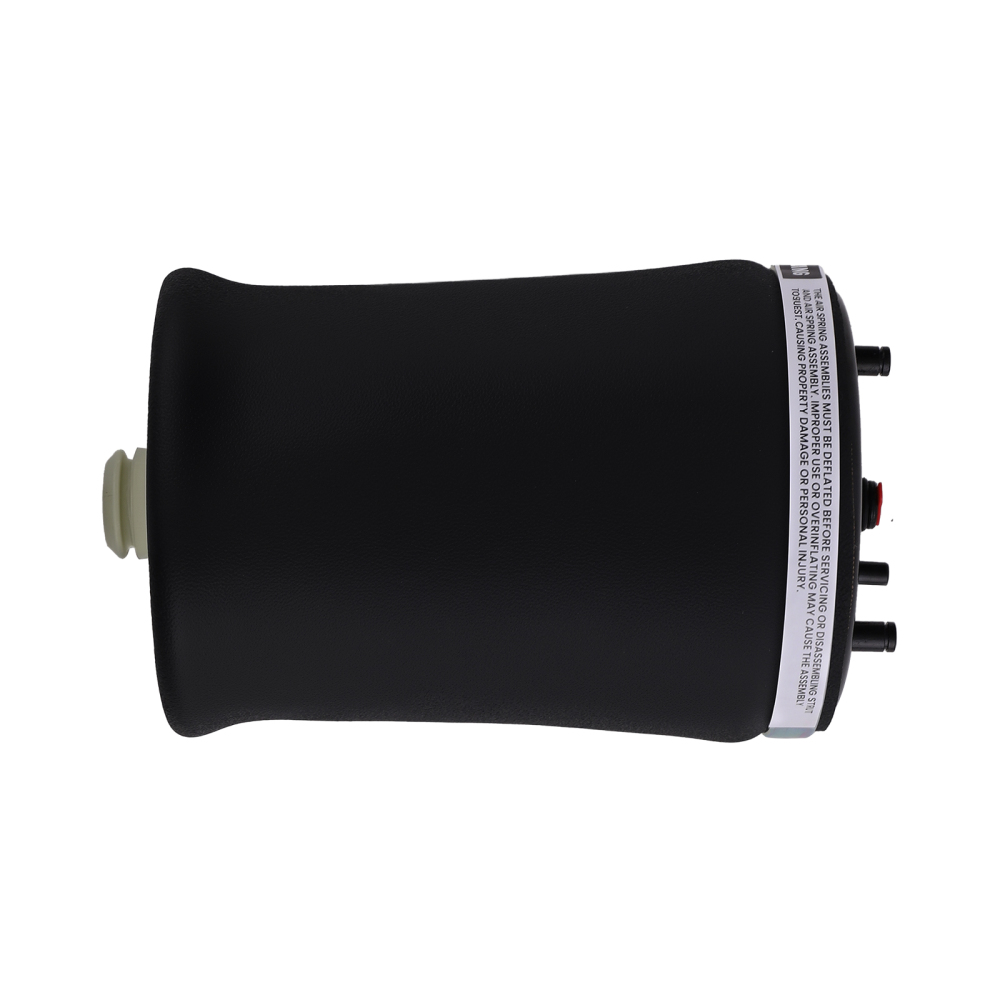 Arrière Droite suspension pneumatique Air Ressort compatible pour BMW E53 X5 37126750356 new