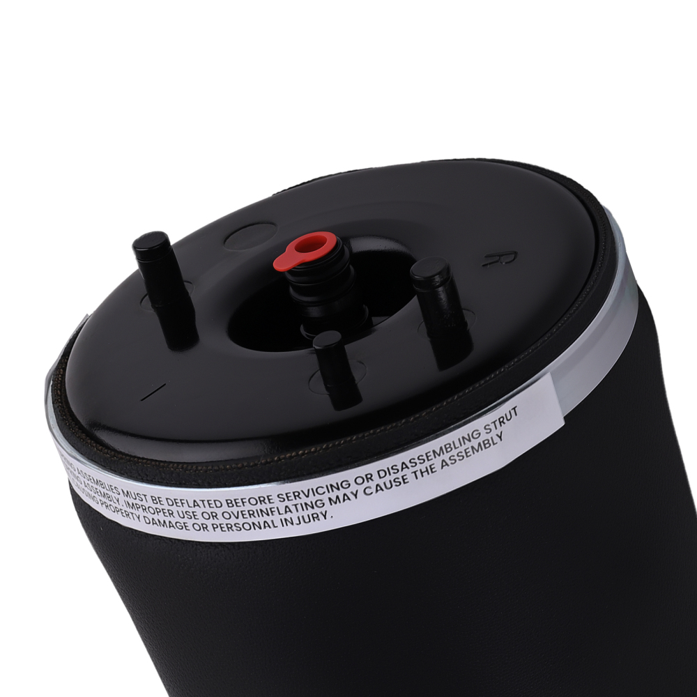 Arrière Droite suspension pneumatique Air Ressort compatible pour BMW E53 X5 37126750356 new